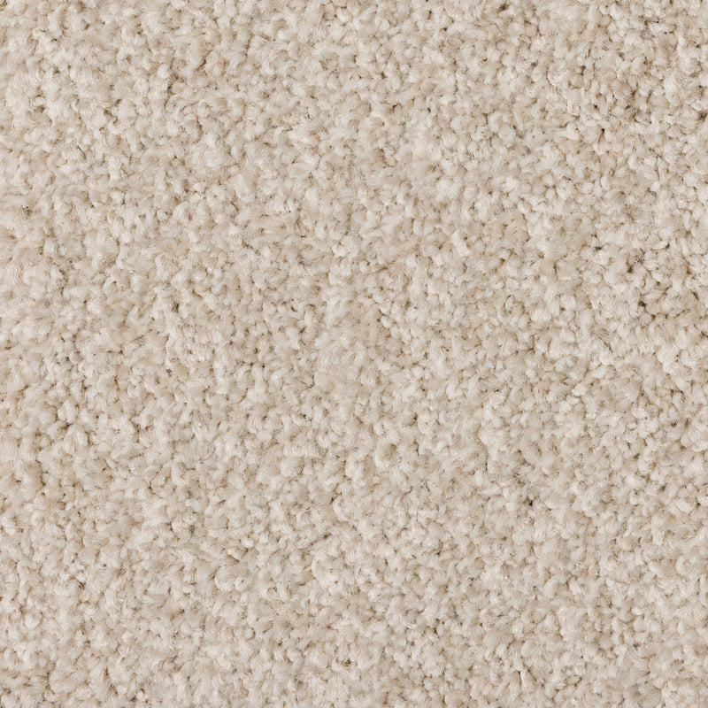 Starlight Large Samples