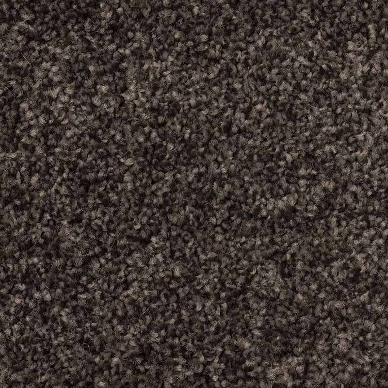 Whisper Trail Large Samples