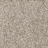 Starlight Large Samples