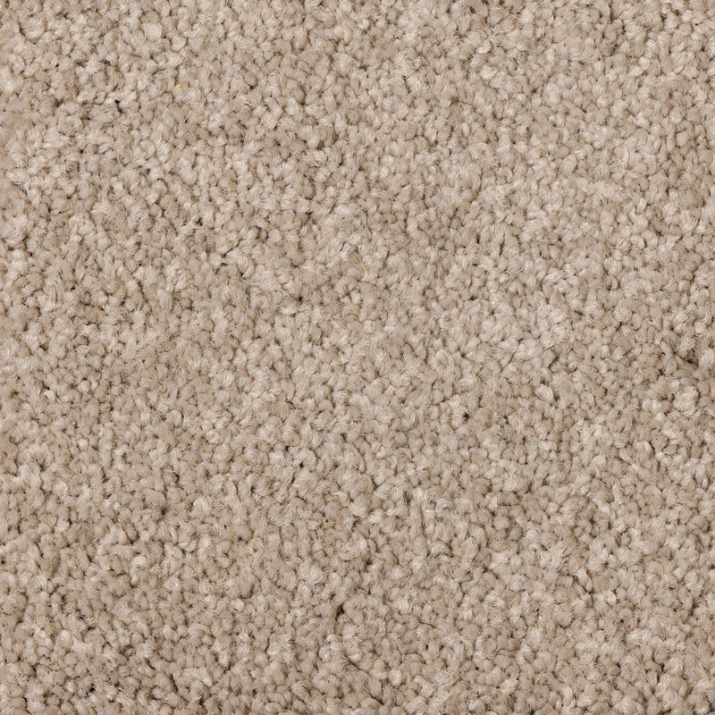 Tulle Cove Large Samples